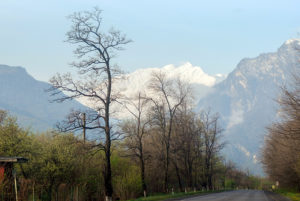 foto-13